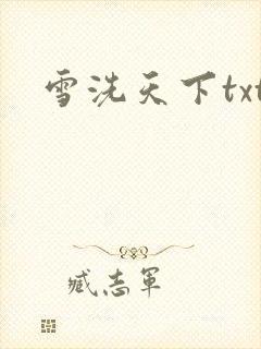 雪洗天下txt