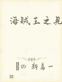 海贼王之见证者