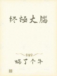 终极大脑