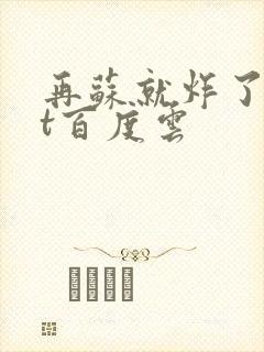 再苏就炸了txt百度云