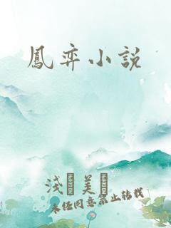 凤弈小说