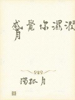 感觉你湿润我四月