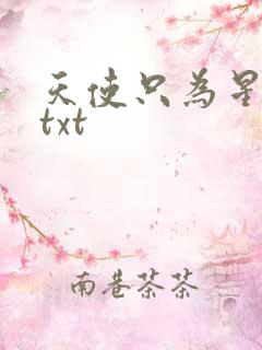 天使只为星夜哭txt