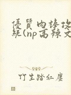 优质肉棒攻略系统(np高辣文)