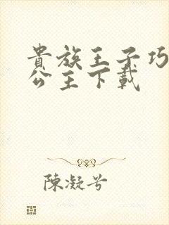 贵族王子巧遇穷公主下载