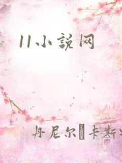 11小说网