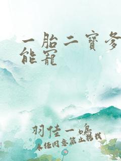 一胎二宝爹地超能宠
