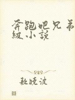 奔跑吧兄弟限制级小说