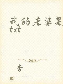 我的老婆是警察txt