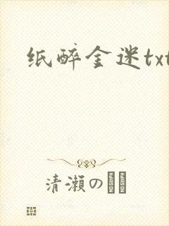 纸醉金迷txt