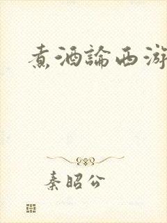 煮酒论西游