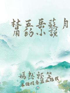 林五岳苏月灵主角的小说
