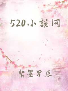 520小说网