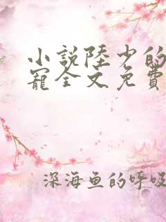 小说陆少的心尖宠全文免费阅读