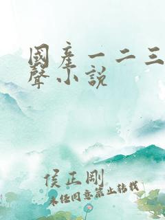 国产一二三区有声小说