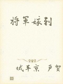 将军嫁到