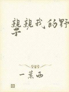 亲亲我的野猪王子