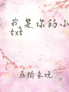 我是你的小小狗txt