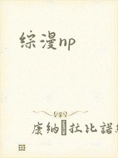 综漫np