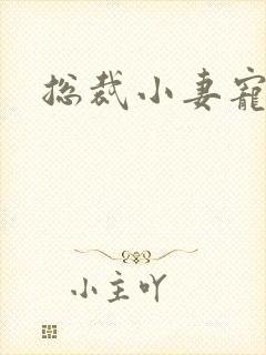 总裁小妻宠上天