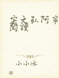 宇文弘阿宁全文阅读