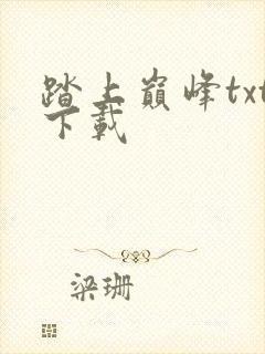 踏上巅峰txt下载