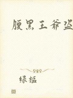 腹黑王爷盗墓妃