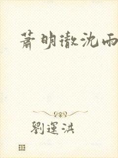萧明彻沈雨燃