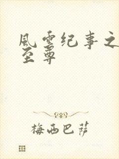 风云纪事之唯武至尊