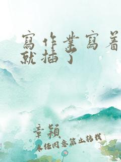 写作业写着写着就插了