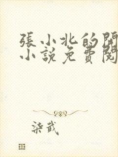 张小北的开光师小说免费阅读怎么没有276章