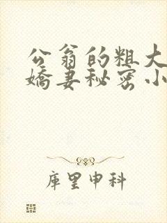 公翁的粗大放进娇妻秘密小说