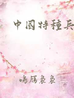 中国特种兵小说