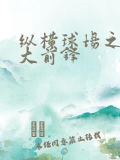 纵横球场之暴力大前锋