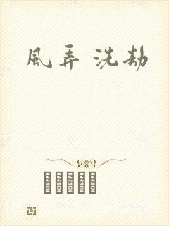 风弄 洗劫