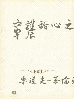 守护甜心之暗夜星辰