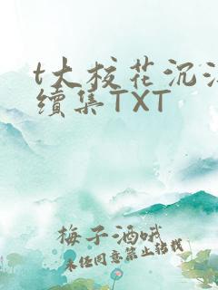 t大校花沉浮录续集TXT