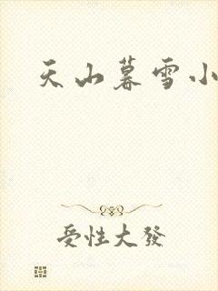 天山暮雪小说
