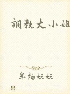 调教大小姐