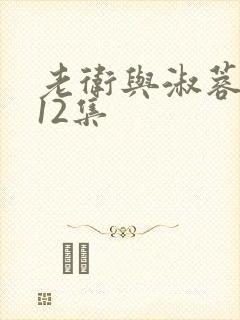 老卫与淑蓉1一12集