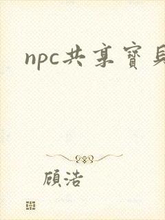 npc共享宝贝