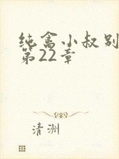 纯禽小叔别太猛第22章