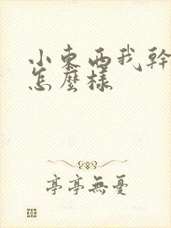 小东西我干的你怎么样