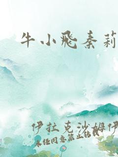 牛小飞秦莉莉
