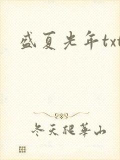 盛夏光年txt