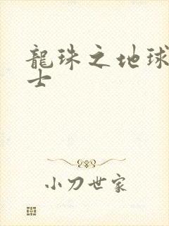 龙珠之地球人战士