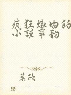 疯狂炖肉的全部小说宁韵