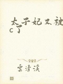 太子妃又被皇帝c了