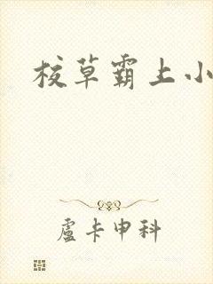 校草霸上小丫头