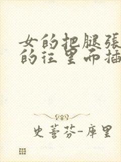 女的把腿张开男的往里面插